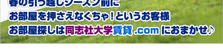 来春予約受付中!